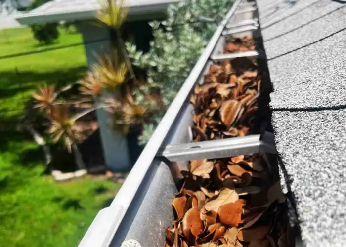 Walterboro gutter cleaning home page